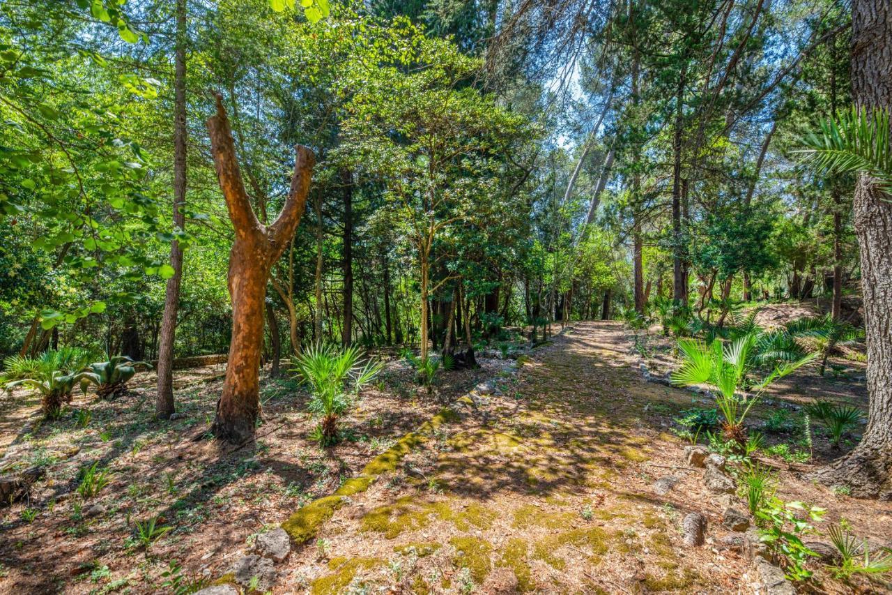 Son Grua Agroturismo - Adults Only Pollença Kültér fotó
